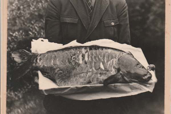 Historische Bilder des KAV